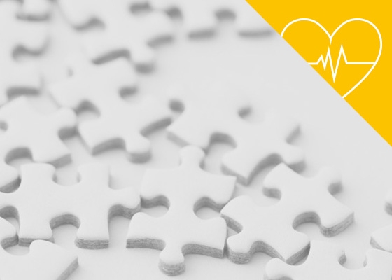 Software Development